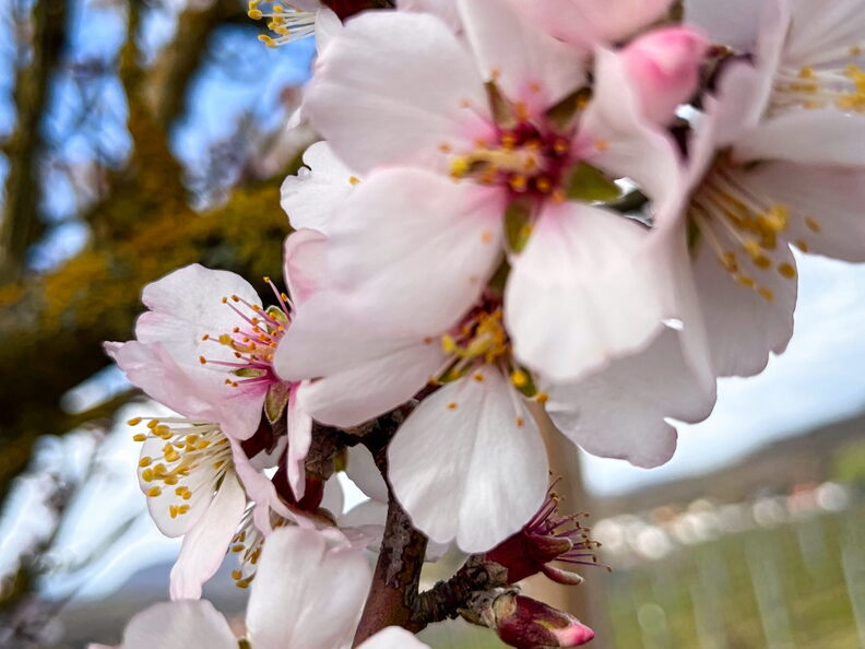 23-03-13 11-24-21 4840